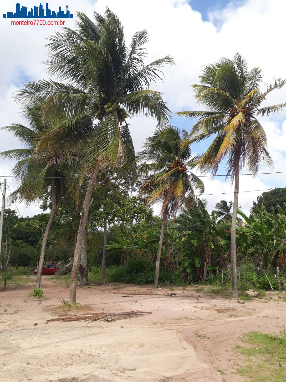 Terreno à venda, 180m² - Foto 10